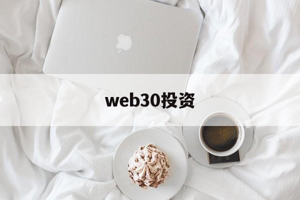 web30投资(web30时代的最大特征是)